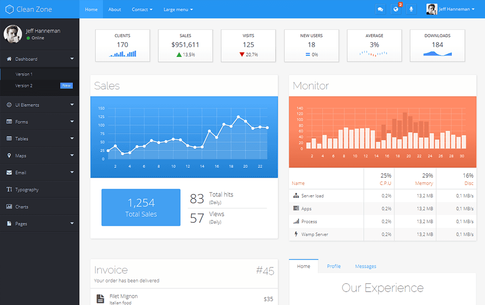 Clean Zone admin template preview